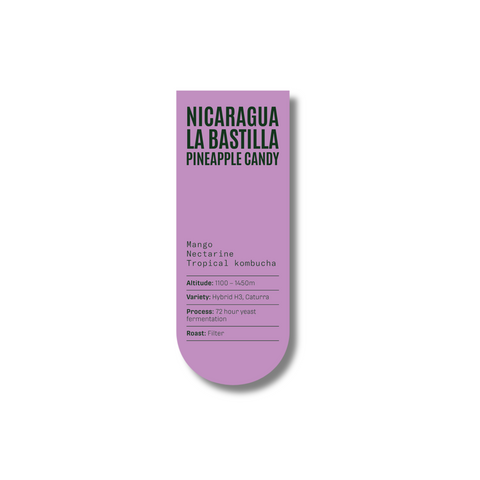 Nicaragua La Bastilla Pineapple Candy